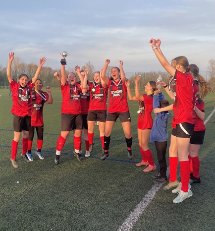 Pitch photo - cropped